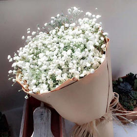 呼啸鲜花团 | 满天星 500G/束 插花期5-7天