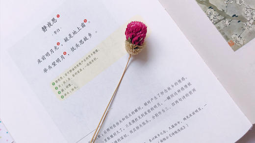 和孩子共读的国学启蒙：《陪孩子品诗》《陪孩子品词》 商品图5
