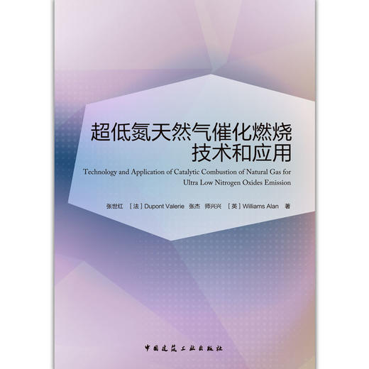 超低氮天然气催化燃烧技术和应用 商品图1