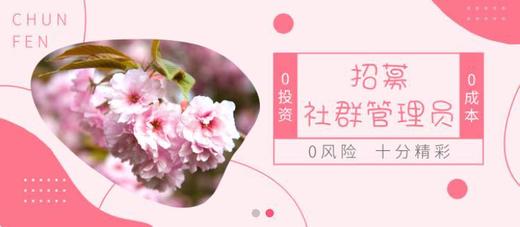 11111 商品图0