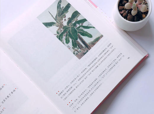 和孩子共读的国学启蒙：《陪孩子品诗》《陪孩子品词》 商品图4