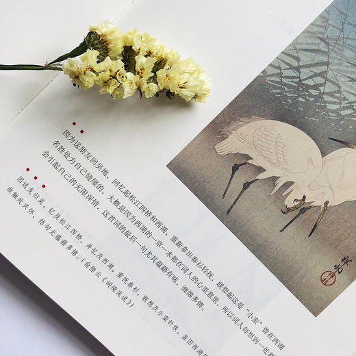 和孩子共读的国学启蒙：《陪孩子品诗》《陪孩子品词》 商品图6