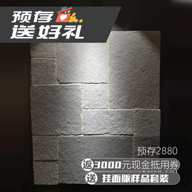 预存2880元 ，返3000元现金抵用券+挂面版样品套装
