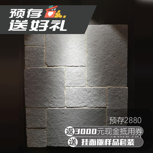 预存2880元 ，返3000元现金抵用券+挂面版样品套装 商品图0