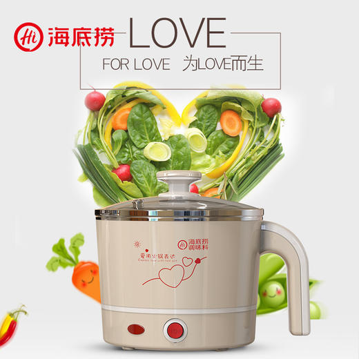 海底捞迷你电煮锅 电热锅 商品图1