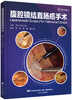 2019年5月新书：《腹腔镜结直肠癌手术》 张宏 译（辽宁科学技术出版社） 商品缩略图0