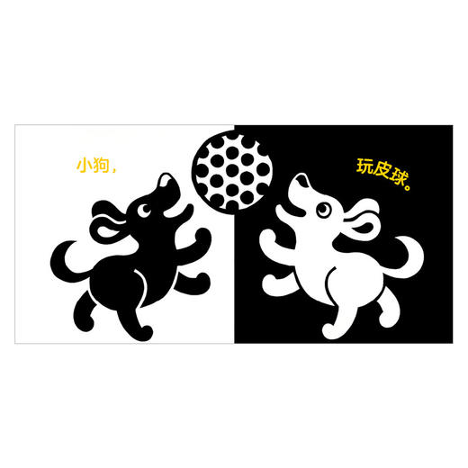 宝宝黑白卡 塔娜霍班 著 视觉启蒙 凯迪克奖得主、摄影师倾情巨献 中信出版社童书 正版书籍 商品图5