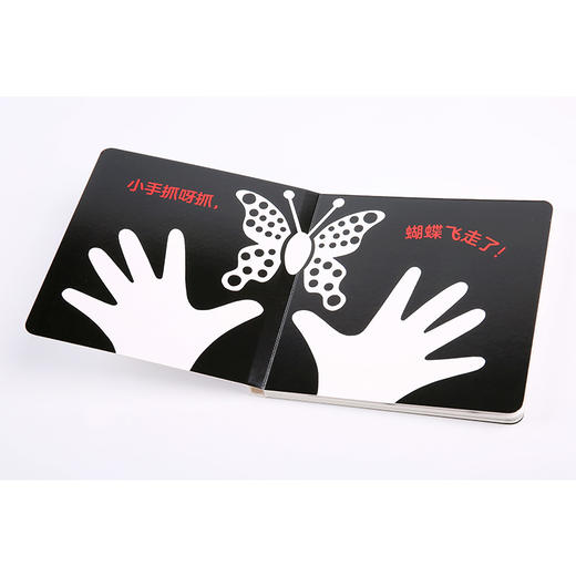 宝宝黑白卡 塔娜霍班 著 视觉启蒙 凯迪克奖得主、摄影师倾情巨献 中信出版社童书 正版书籍 商品图4