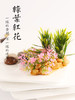造景大师系列—唯美【绿叶红花】 随手一放即可绽放唯美！ 商品缩略图0