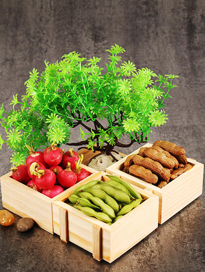 造景大师系列—唯美【新景树】 随手一放即可绽放唯美！ 商品图1