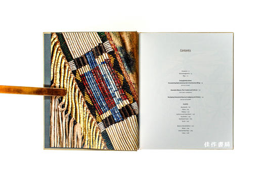 Art of Native America - The Charles and Valerie Diker Collection/美洲原住民艺术：戴克夫妇藏品 商品图2