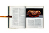 Art of Native America - The Charles and Valerie Diker Collection/美洲原住民艺术：戴克夫妇藏品 商品缩略图4