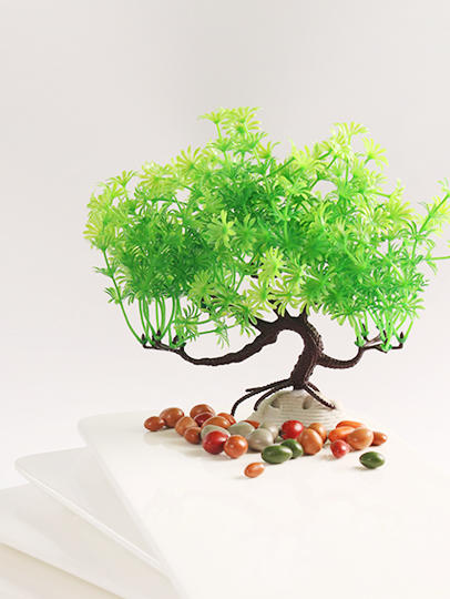 造景大师系列—唯美【新景树】 随手一放即可绽放唯美！ 商品图0