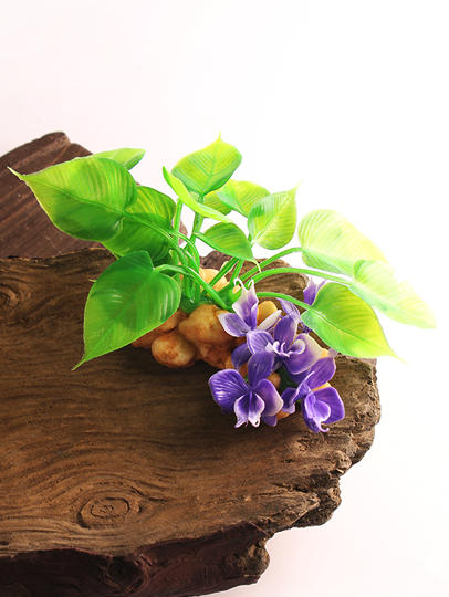 造景大师系列—唯美【紫花记】 随手一放即可绽放唯美！ 商品图2