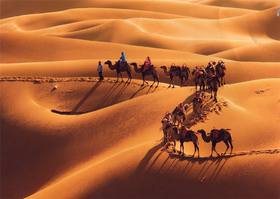 宁夏草原沙漠亲子游