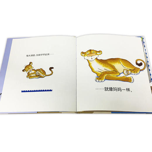 像妈妈一样 商品图1