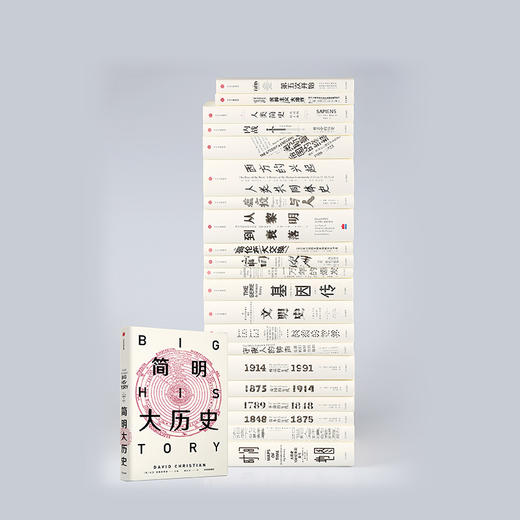简明大历史（见识丛书33）  社科 商品图3