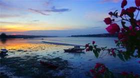 （永久下架）宿务薄荷岛亲子寻踪之旅