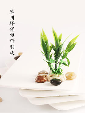 造景大师系列—唯美【盘饰小品】 随手一放即可绽放唯美！