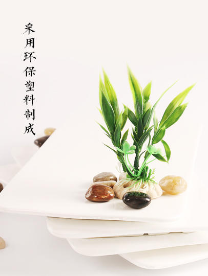 造景大师系列—唯美【盘饰小品】 随手一放即可绽放唯美！ 商品图0