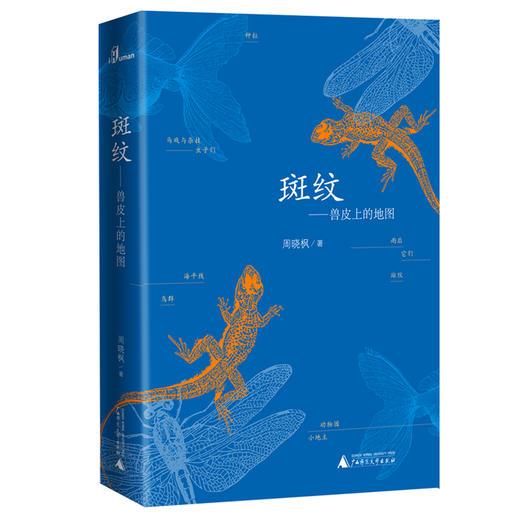 【“云端书展”专区】斑纹——兽皮上的地图  周晓枫 著  商品图0