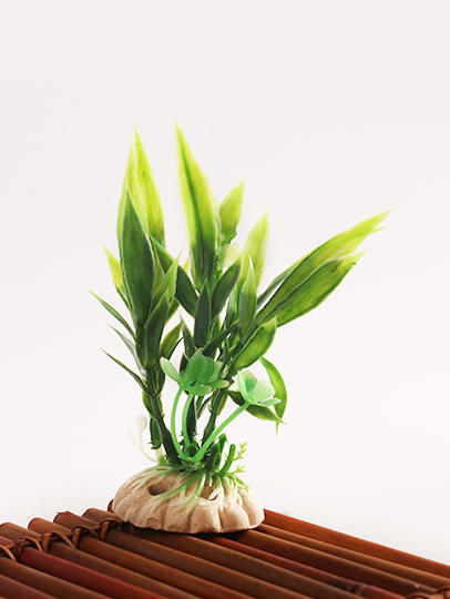 造景大师系列—唯美【盘饰小品】 随手一放即可绽放唯美！ 商品图6