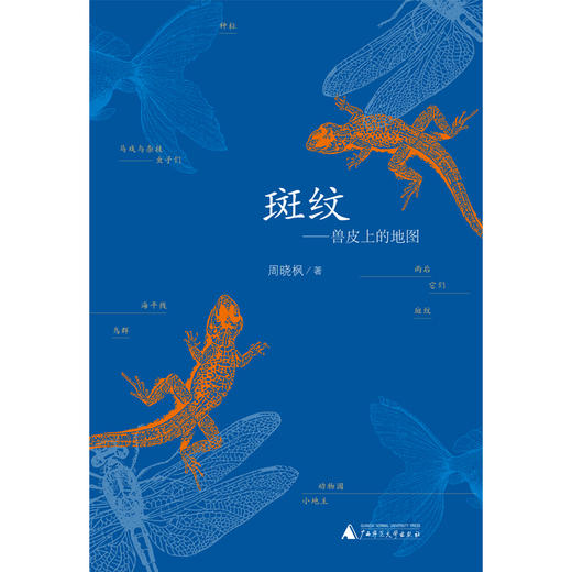 【“云端书展”专区】斑纹——兽皮上的地图  周晓枫 著  商品图1