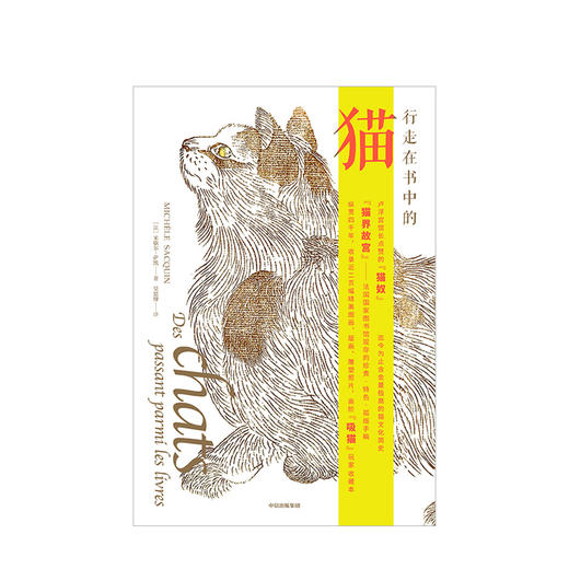 行走在书中的猫 文学-分销 商品图1