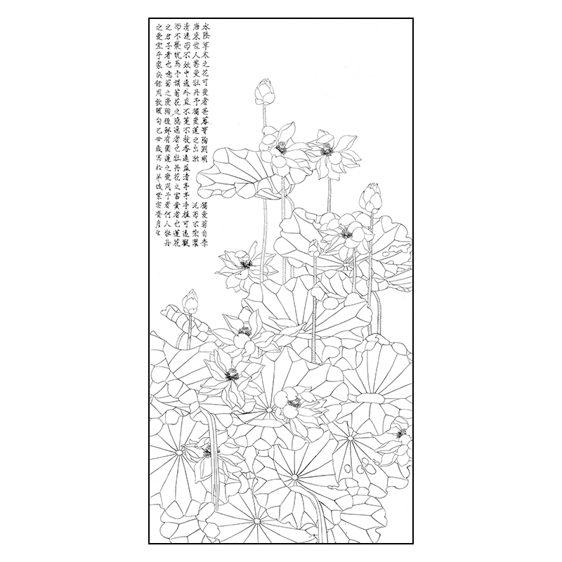 tp207周彦生工笔画荷花白描底稿花鸟国画小品临摹练习