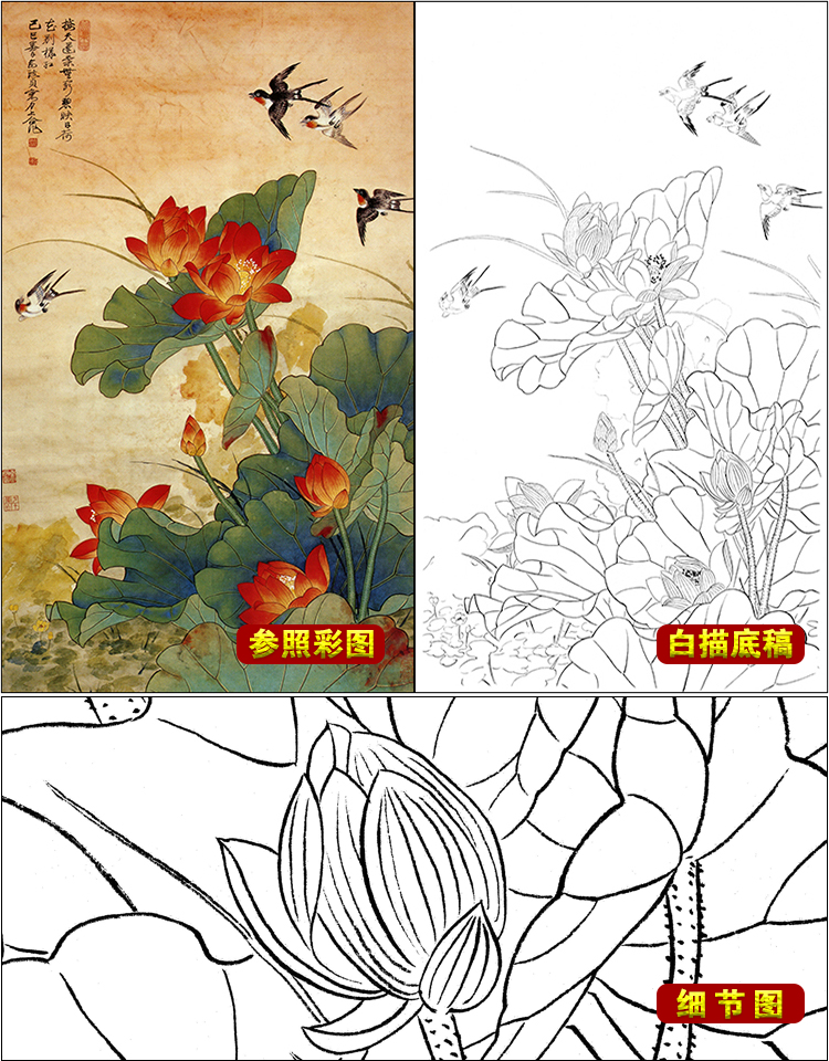 tp241工笔画白描底稿临摹练习初学者入门国画水彩花鸟