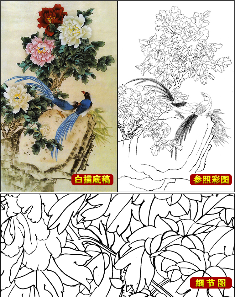 tp222高清工笔画白描素材国画牡丹临摹练习线描底稿画