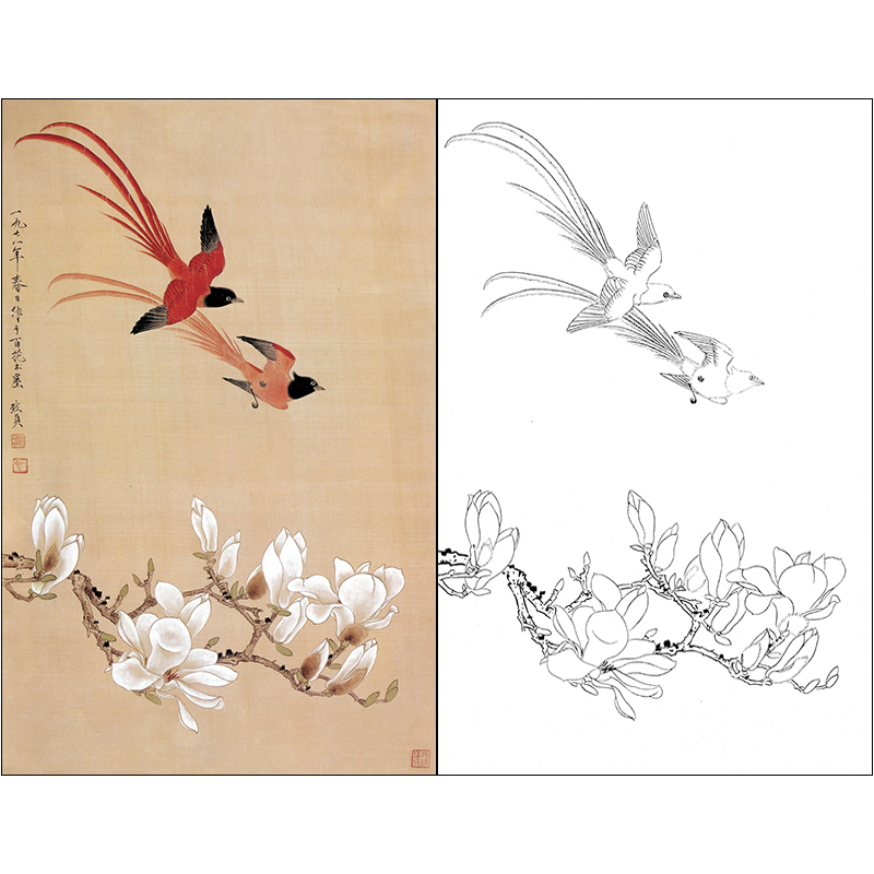 tp286工笔画白描底稿临摹练习初学者入门国画水彩花鸟勾线打印稿