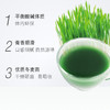 广元堂大麦若叶青汁粉7袋*1盒 商品缩略图2