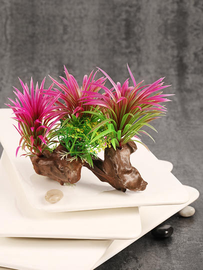 造景大师系列—唯美【如茵】4款可选/ 随手一放即可绽放唯美！ 商品图2