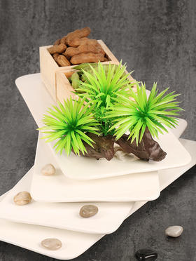 造景大师系列—唯美【如茵】4款可选/ 随手一放即可绽放唯美！