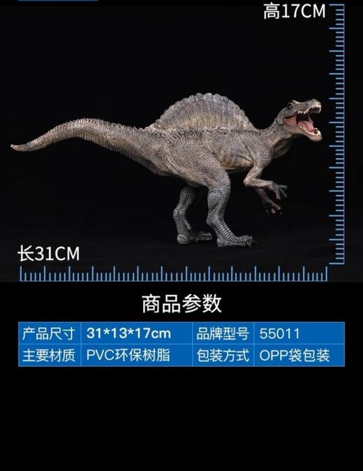 papo 北非棘龙（55011） 商品图4