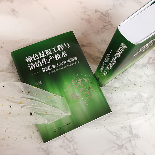 绿色过程工程与清洁生产技术——张懿院士论文集精选（上、下册） 商品图4