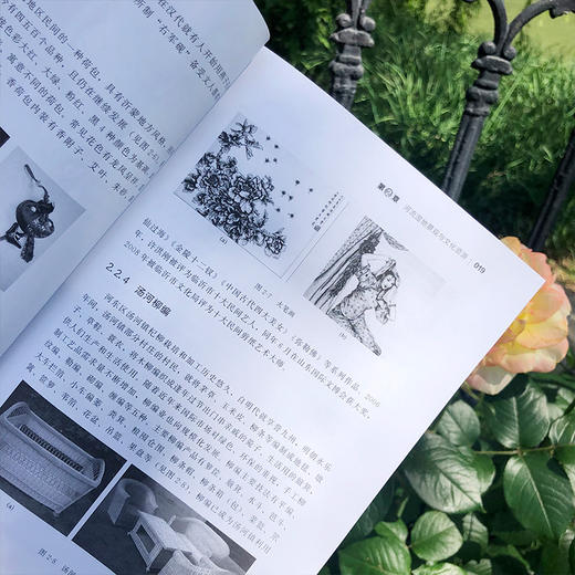 河流湿地资源利用与公园规划——以山东省临沂市为例 商品图3