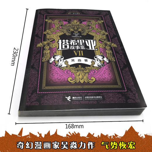 塔希里亚故事集Ⅶ 中国原创奇幻漫画先锋 吴淼著 马伯庸倾情作序 《龙枪编年史》中文简体版插图作者吴淼的鸿篇巨制 黑白剪影世界的魔法传奇 震撼人心的哲理寓言 启迪心灵的智慧阅读 商品图7