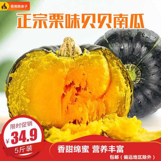 栗味贝贝南瓜 商品图0