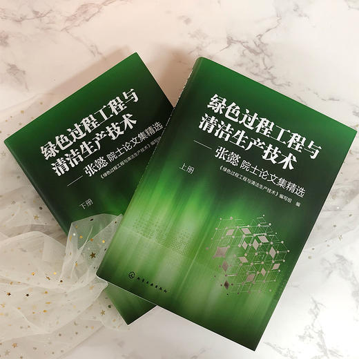 绿色过程工程与清洁生产技术——张懿院士论文集精选（上、下册） 商品图1