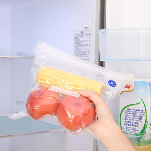 真空食品袋抽气泵（食品袋专用） 商品图5