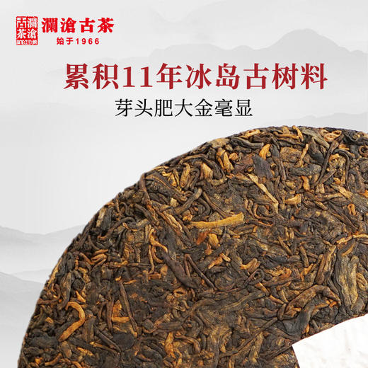 澜沧古茶2019冰岛古树熟茶纯料春茶普洱熟茶357g 商品图5
