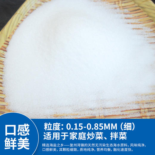海湾牌 海原味海精盐（加碘）400g 商品图1