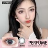 Divabisou Perfume真香灰色 商品缩略图0