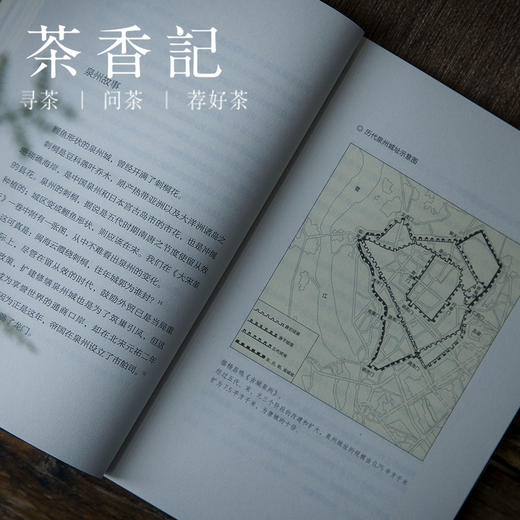 茶香记 《风流南宋 易中天中华史 》 易中天著 中国历史 传统文化 宋代 商品图4