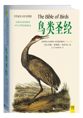 鸟类圣经