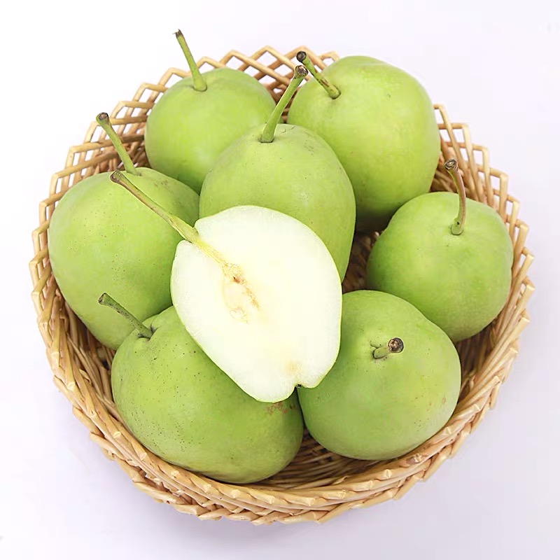 现货梨子陕西渭南早酥梨5绿香梨脆甜预售青皮梨新鲜水果带箱10斤