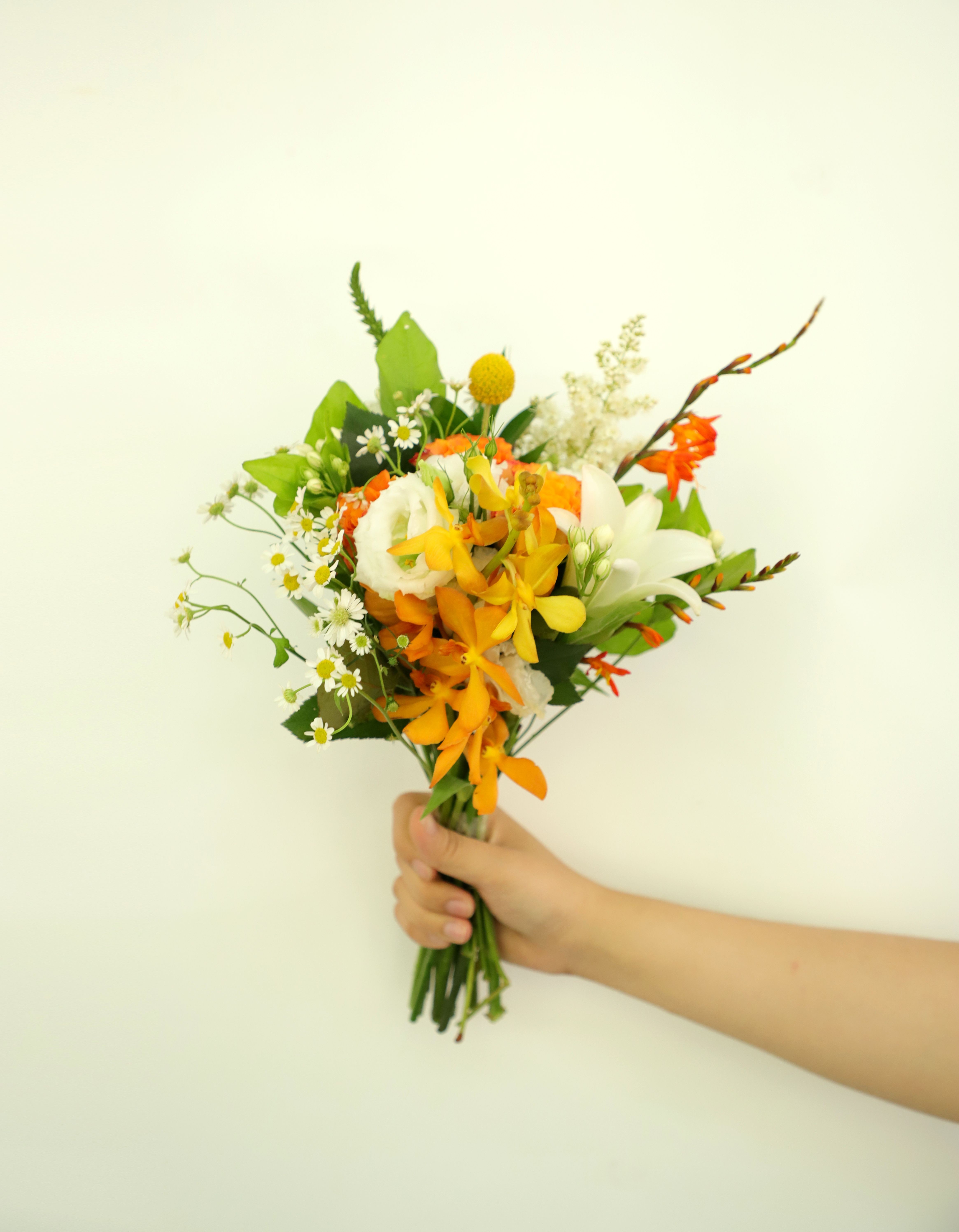 【拾年花束】毕业礼物 * 送同学 送朋友