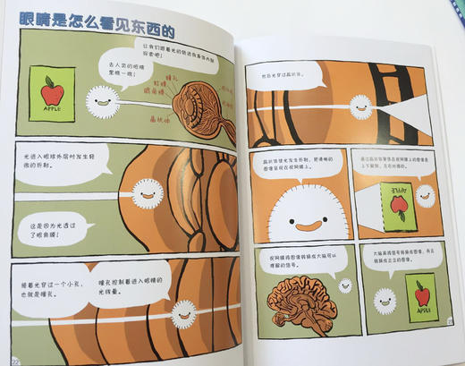 《美国经典物理科学启蒙全书：这就是物理》 共10册 5~12岁物理漫画读物 商品图9